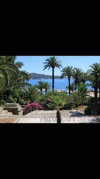 Le Dyonisos Et Piscine Apartment La Seyne-sur-Mer Bagian luar foto