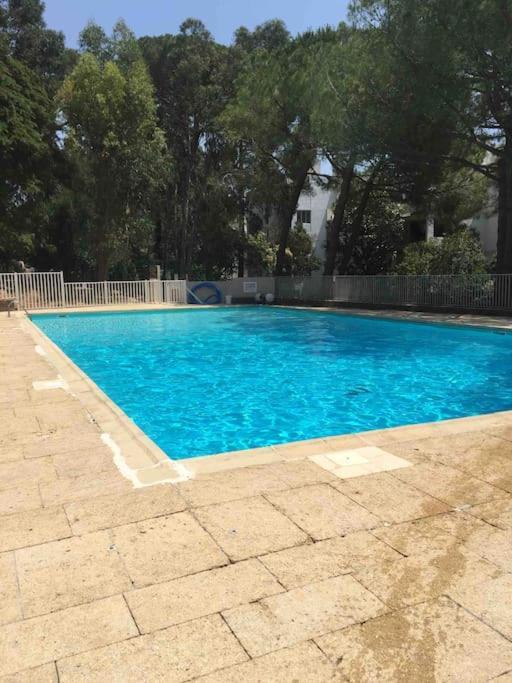 Le Dyonisos Et Piscine Apartment La Seyne-sur-Mer Bagian luar foto