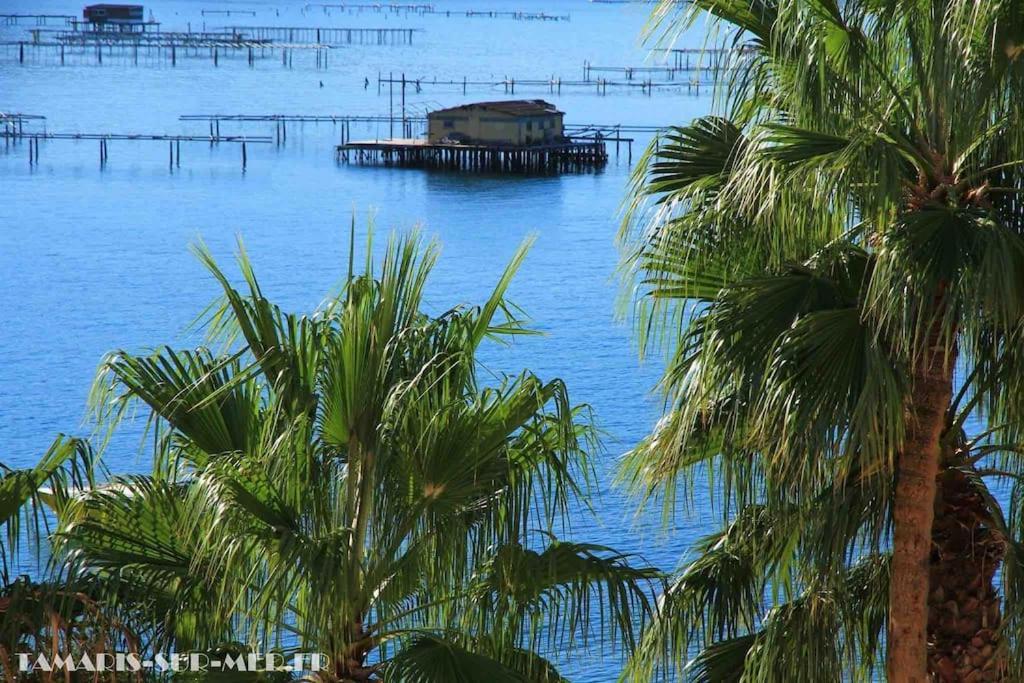 Le Dyonisos Et Piscine Apartment La Seyne-sur-Mer Bagian luar foto